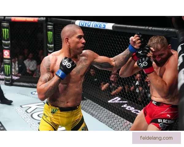 UFC重量级经典对决大布对阵锤子血战擂台全解析历史意义与战术回顾